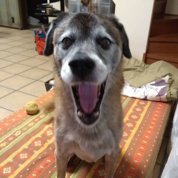 7aa5dc37 095e 4ee7 a58a 973549c82848 1572425585356