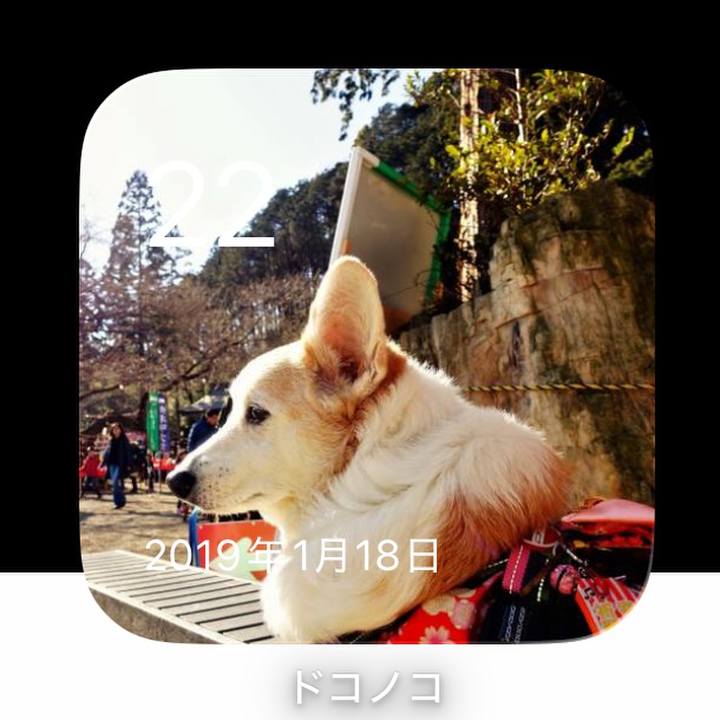 7aa5dfa6 b4f5 4fd6 a58f fa520fe10b98 1769062518663