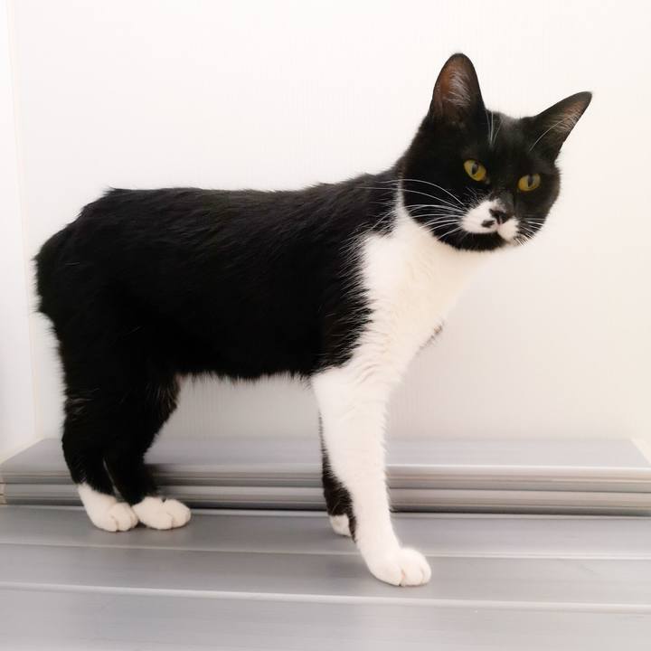 7aa60b03 1402 428a 8023 20bebc8a9b0f 1556470136148