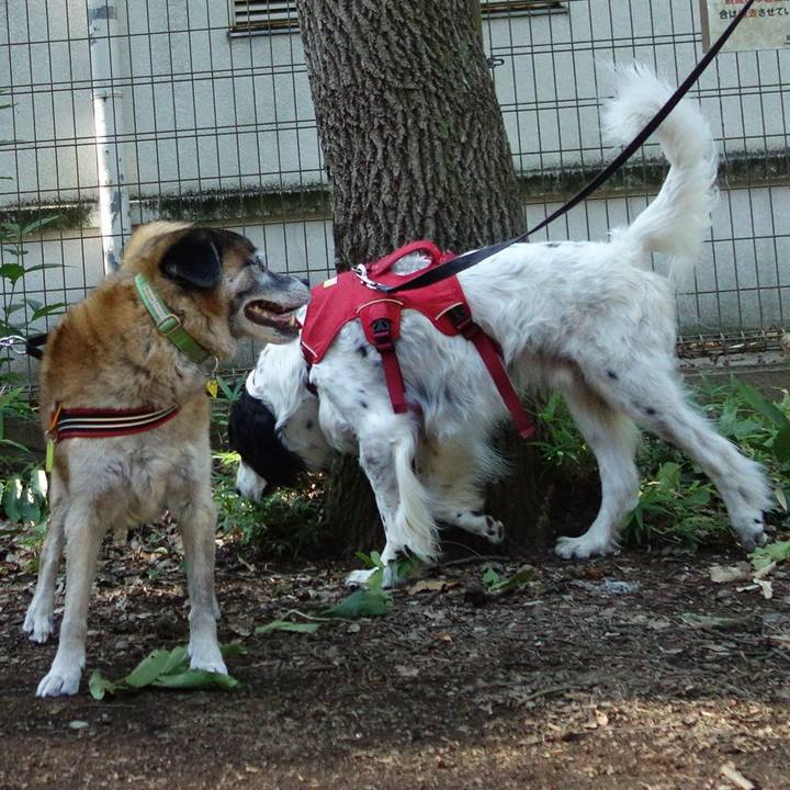 7aa60c07 ef86 414a a4ca 0b0ae205aaf5 1565997245541