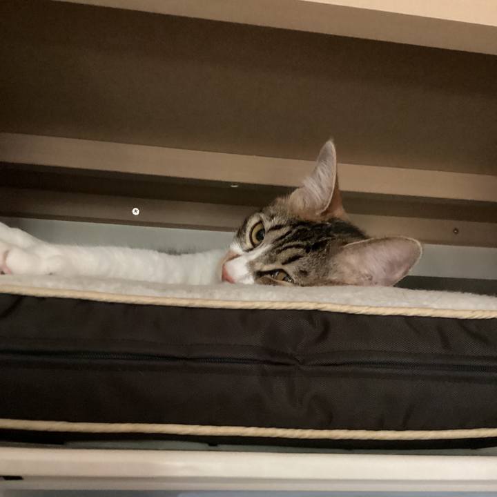 7aa62593 5dbb 4597 8576 6b4dae627f18 1653778910152