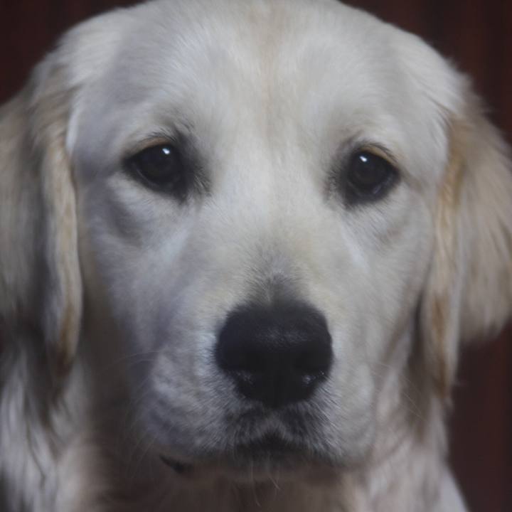 7aa64519 104a 4da3 80d1 11e0e0f8c39b 1534115406014