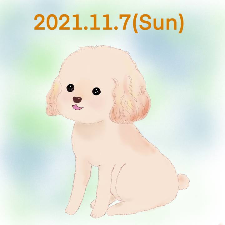 7aa678f8 4eb1 432a b49e 9252100236ad 1636291141253