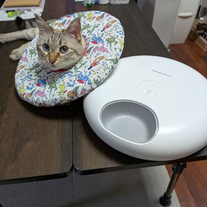 7aa687a7 44fe 4b14 8786 34ce51ef5b02 1752147582222