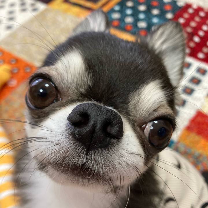 7aa6b9d7 e312 44f8 81a6 cca9d5194c0e 1684019236950