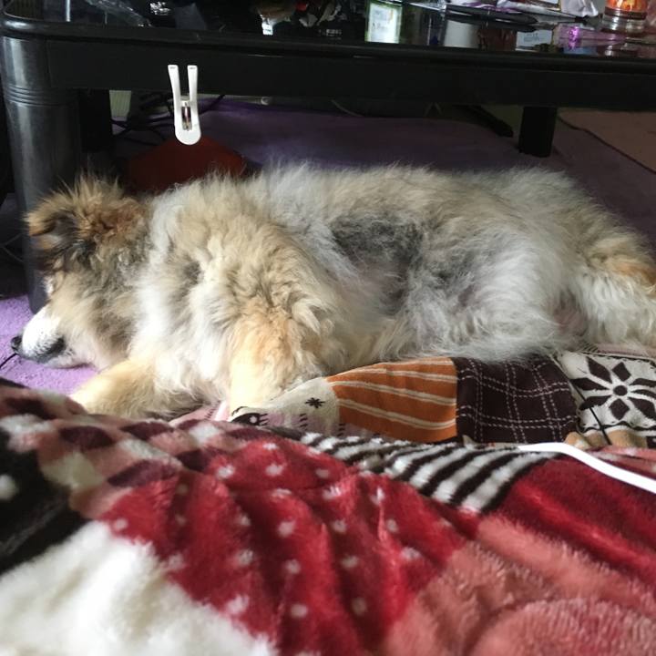 7aa6cbd2 faae 4671 bd00 a5395734b531 1611469614483