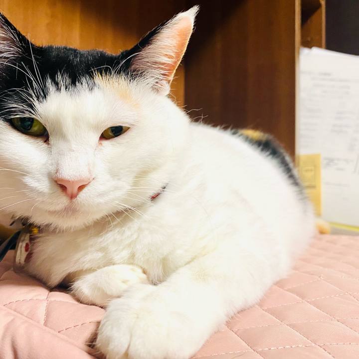 7aa6d75d ec9b 4cd9 a194 fe2a115b7007 1716591935886