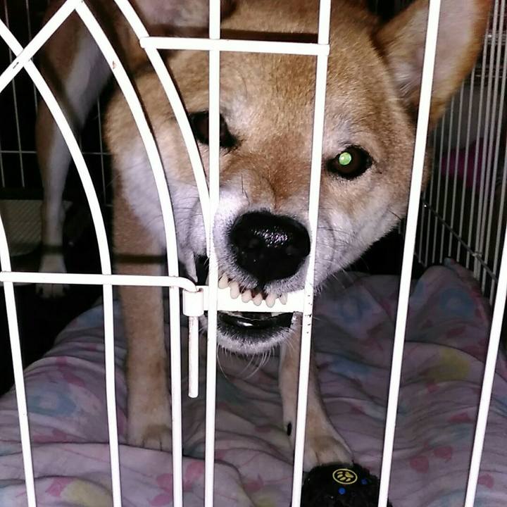 7aa6e27b c6fb 415f a166 fad97a2f2a4b 1564727802066