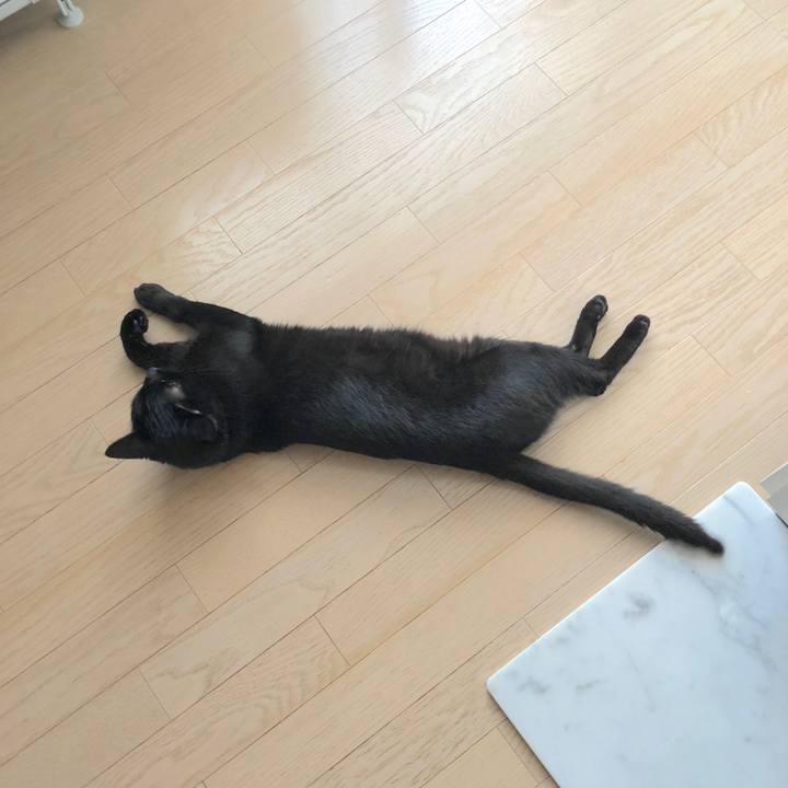 7aa72d1a 1c8d 4a5d 8280 17849a708aec 1526545310897