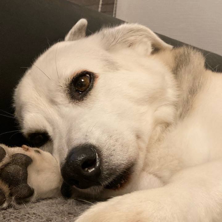 7aa7430c a52d 42f3 be10 68b19607b3e2 1656907469911