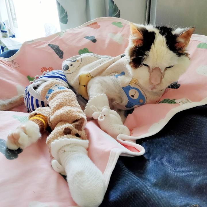 7aa781ef 100d 48fb ae1b 5acc8eef9f46 1617759656761