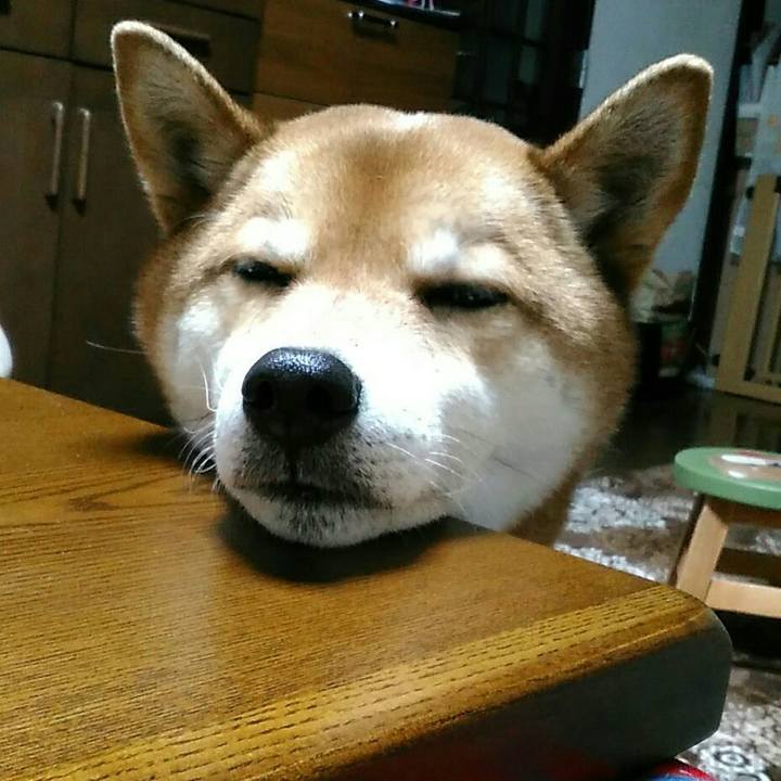 7aa79f0f 683c 452e bb42 5c634c1acb1f 1551267297405