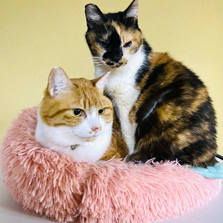 7aa7bb88 d5e5 4599 a4a5 d7b5c584c745 1738159165083