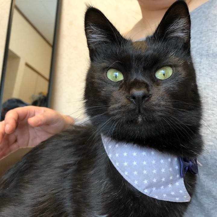 7aa7f205 6b7a 4a0f ad6e 99f2d9767286 1573968086521