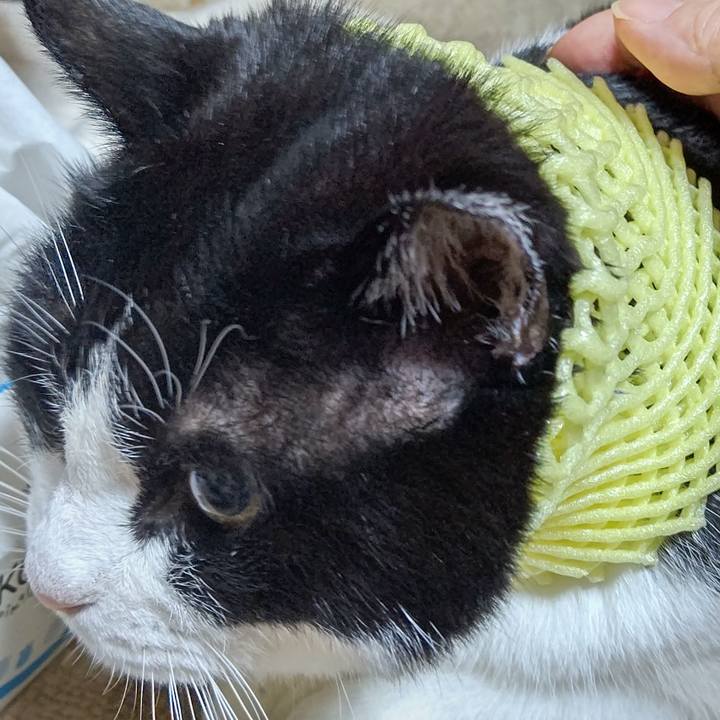 7aa800a9 cd5e 4f70 80b6 87fb3eaf6dc1 1634123331669