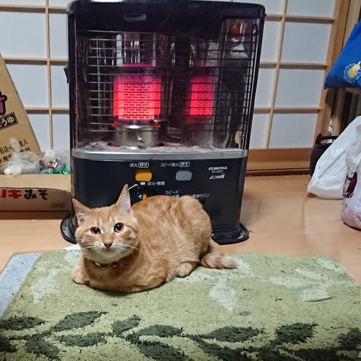 7aa84f9e cb00 4e4d 923b 09f49c04157d 1635538781497