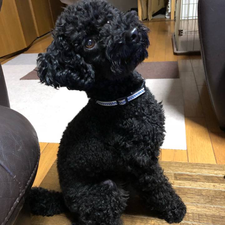 7aa86e9f b8fb 4e60 ba43 c5ae67149e5a 1537012829384