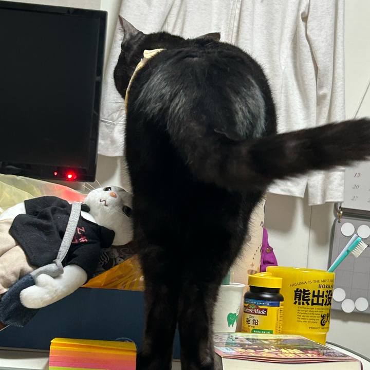 7aa87007 d8f2 43cc a3f3 d5bcb7de39cd 1761208335773