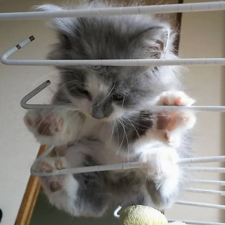 7aa87ea1 5467 4e9b 917f bc6388dcfd5b 1559200967970