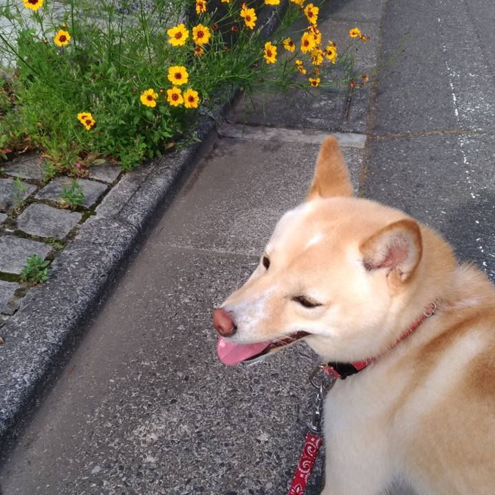 7aa87f82 3bcb 4259 b64e 2725665ef489 1528451672463