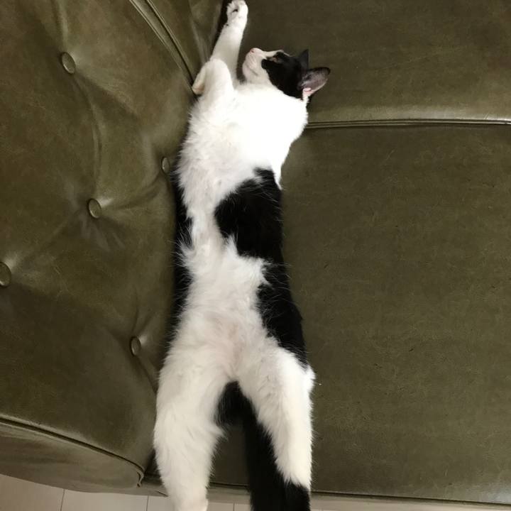 7aa8ad37 1cfb 47ba ad43 1610e9852e9f 1532254580328