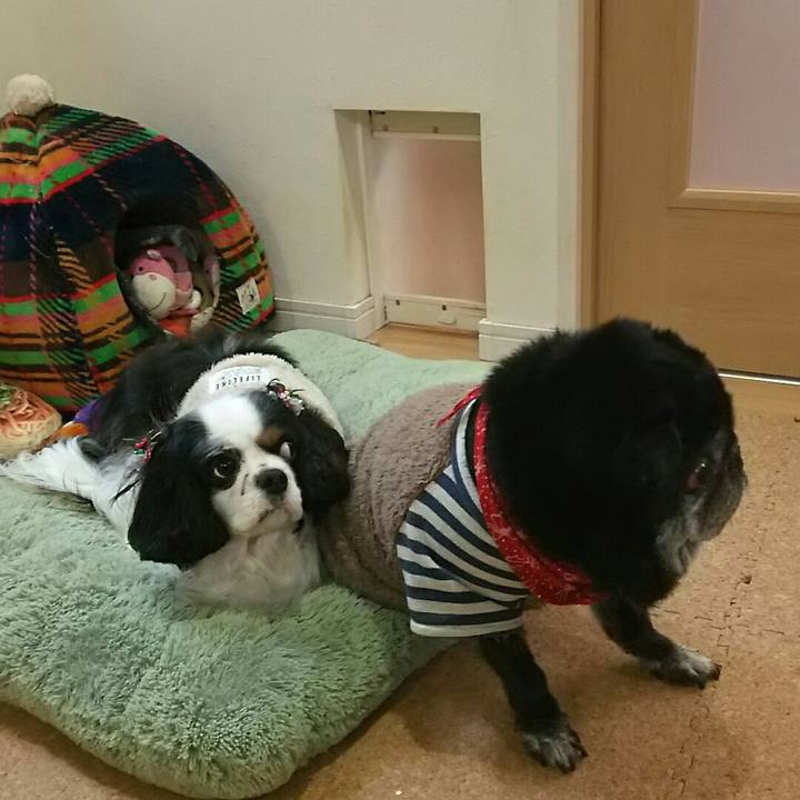 7aa8af1d aeb1 4805 b01b b1c498943eb4 1545535691663