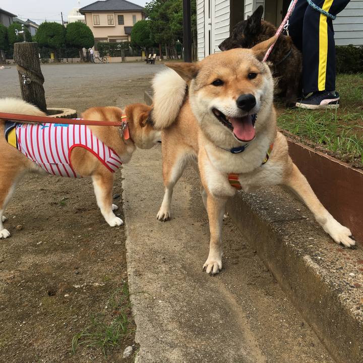 7aa8b324 57ba 432a 9120 f6297b2ab041 1564439911863