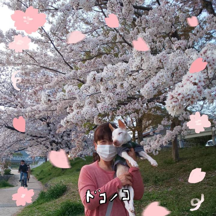 7aa8d0de 7419 4026 bc62 cdf1b04e6c46 1744704368894