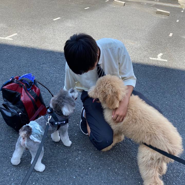 7aa906a1 250f 40ca ac1e 3b206ee388d5 1597293884617