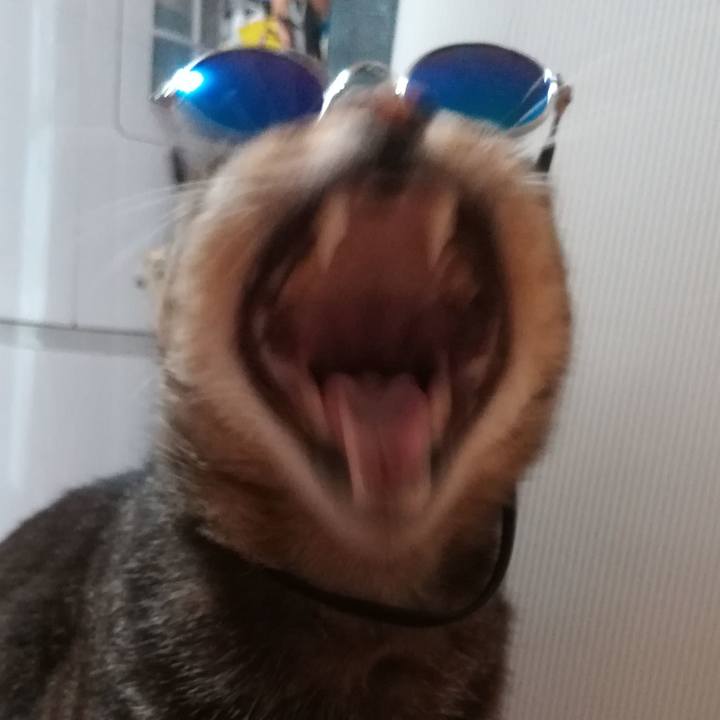 7aa922ef 9b9e 45d8 8e0e affe2dd73a1a 1596528521802