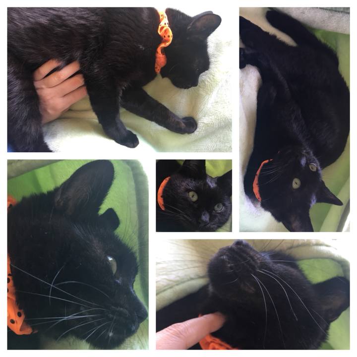 7aa936b8 ee24 4d7f a31c cf014ef3b111 1538967089060