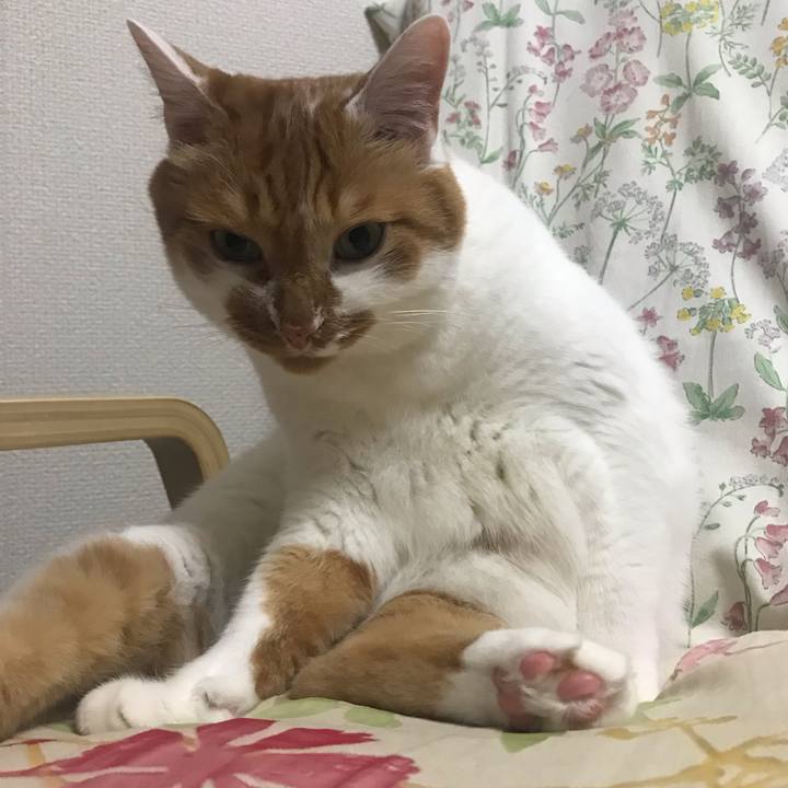 7aa96673 c7e2 4f4f 8799 8c644614d80a 1595075089274