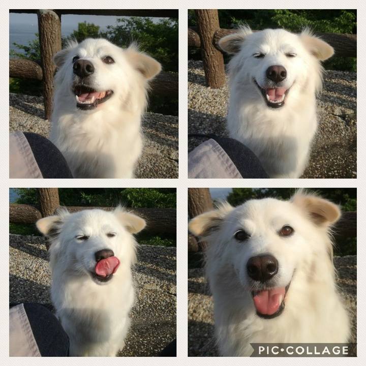 7aa9acf9 0292 43cf b62c 20351851b950 1525221126541