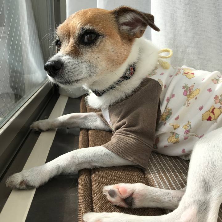 7aa9c436 cef7 4528 8a17 b37c23df477a 1573704308033