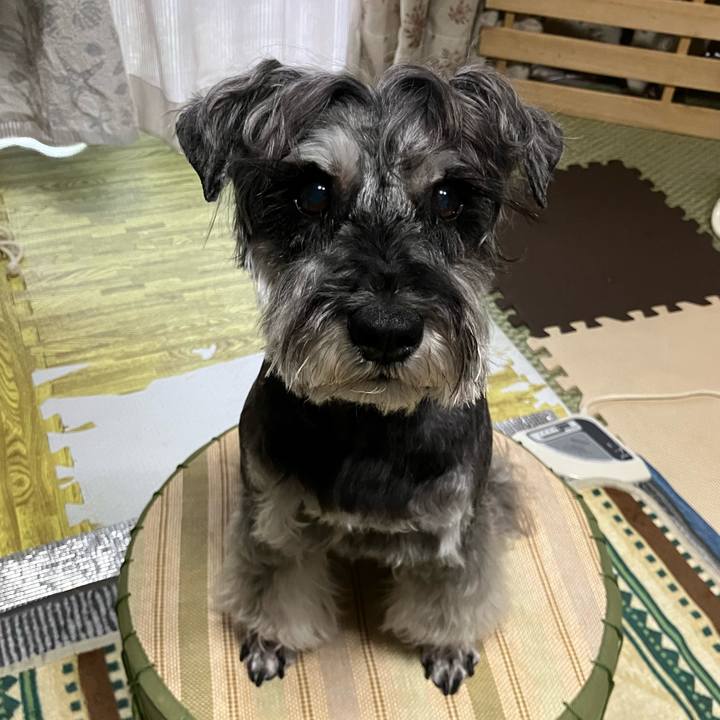 7aa9d4d7 4c5f 4986 9900 be51449c00ea 1745137841130