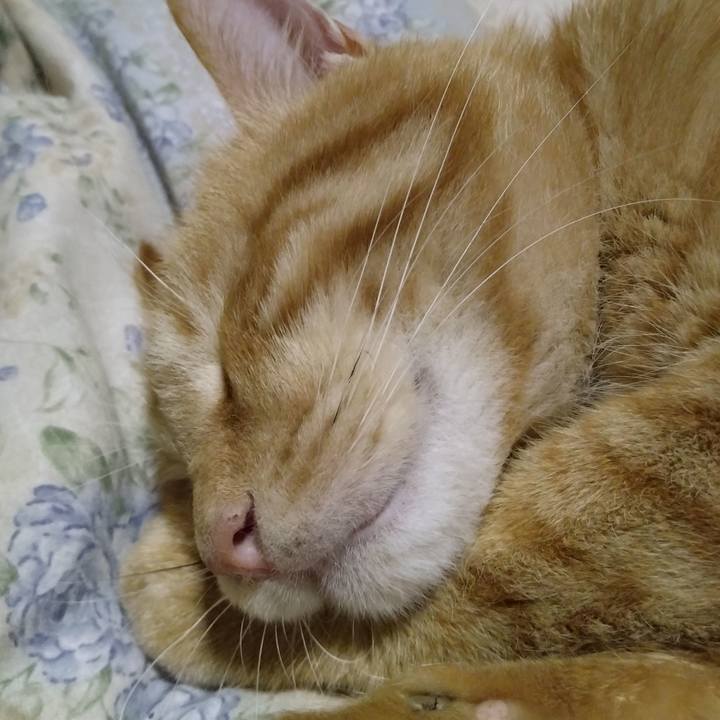 7aa9d4ff 3c39 40de baf7 854eff7de3d0 1664801070088