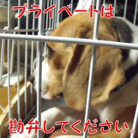 7aa9de53 93db 4b46 97af 8186945e11a6 1692402332903