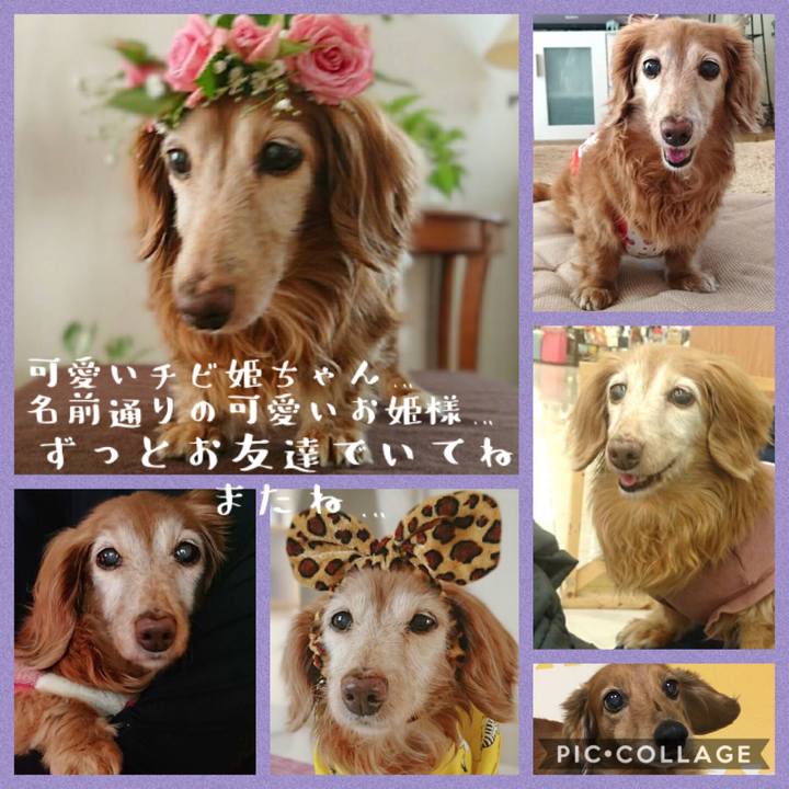 7aa9e36a 4671 47f6 9415 165c7dfd6f72 1575282014974