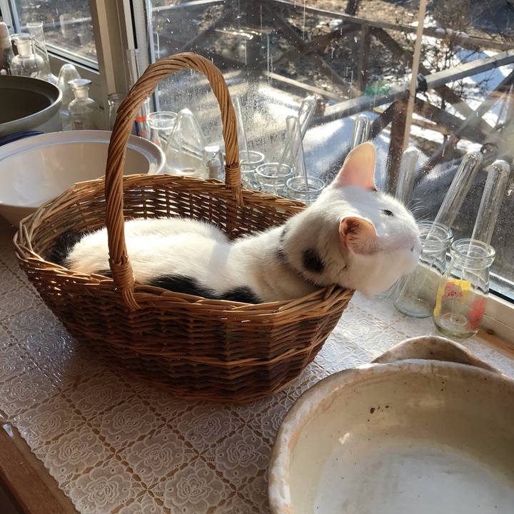 7aa9f7e3 335f 4c96 8c7d 6f62038475b1 1586726665673