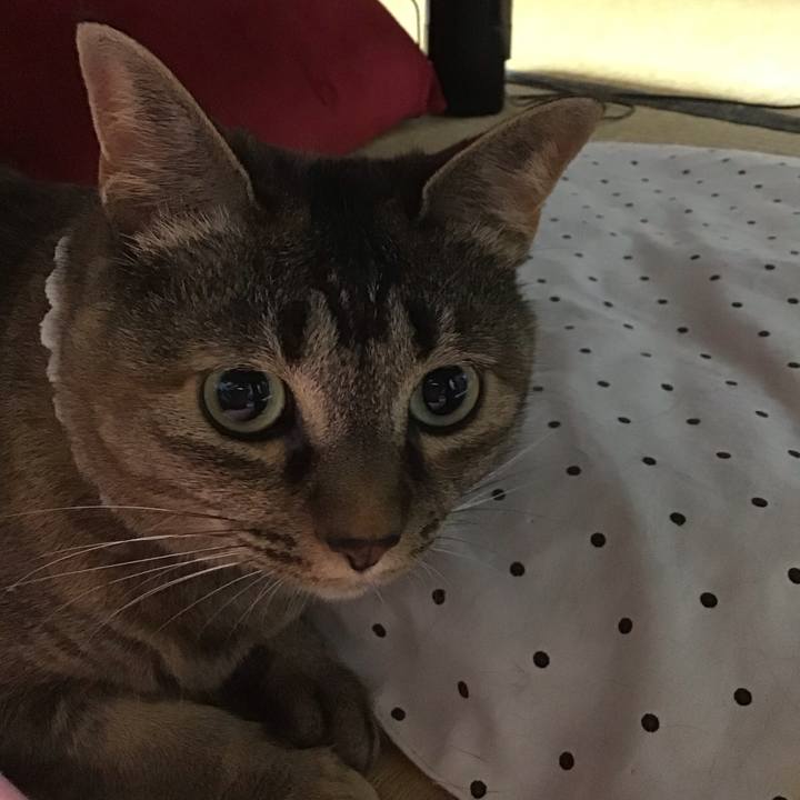 7aaa1124 004a 41be ac85 0c7a83e08808 1688475630731