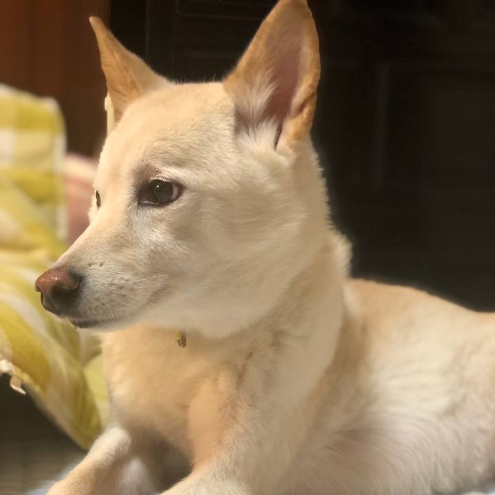 7aaa3d17 0f50 4fd7 9c02 f3bf4d985936 1633407660113