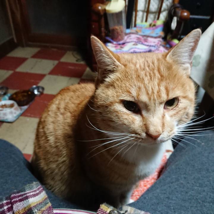 7aaa47e0 0abc 4f57 b1d0 083bbf79e7bc 1576440294738