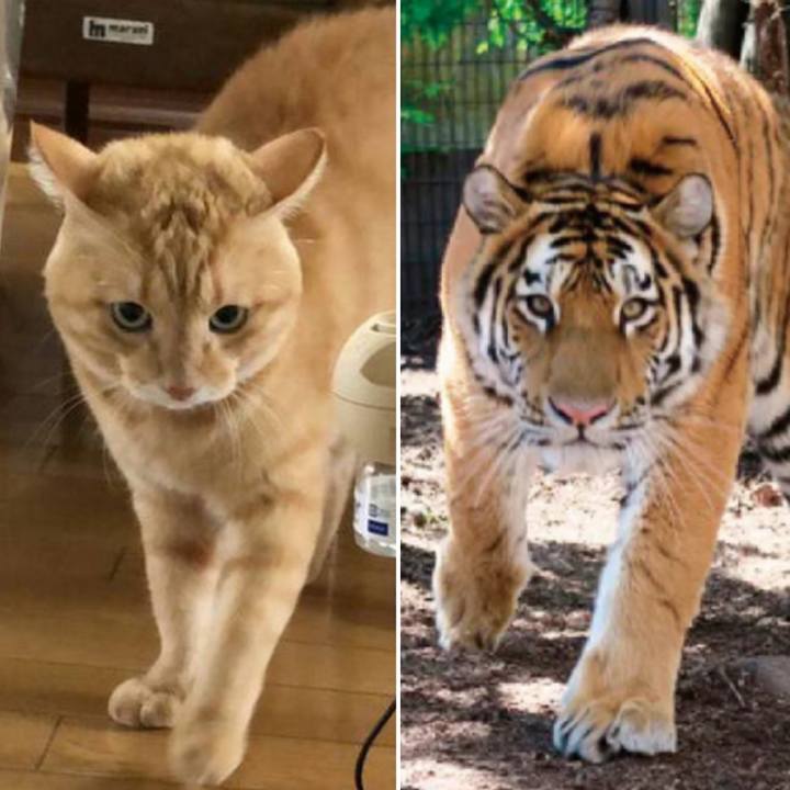 7aaa5830 80e5 4d7b a362 29e9e4e302bd 1634470743812