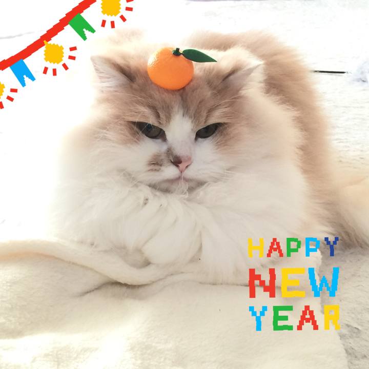 7aaa59ce 1b34 4bdd 9b87 5bad52a67cdc 1514770007513