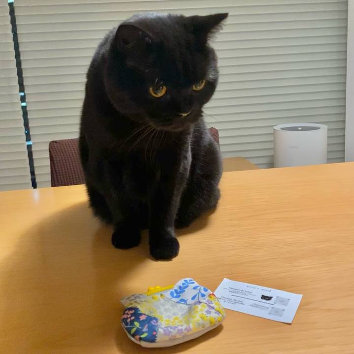 7aaaa82d 830c 471a 9503 84f1d8736fe7 1666355250348