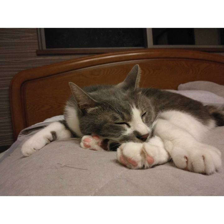 7aaab2d7 11a2 43f1 a551 88b9c5f52aea 1690639167349