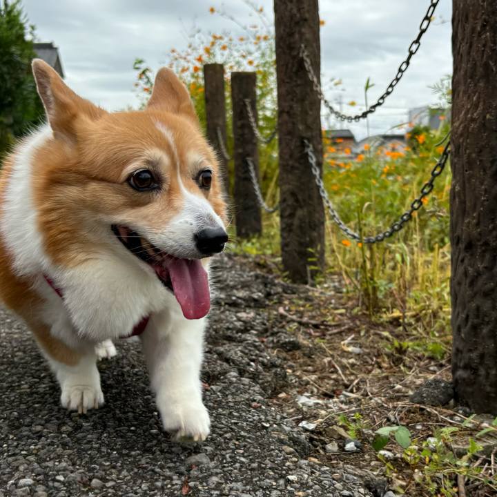 7aaacc33 9421 416f a8df 038e81fe3877 1727143608312