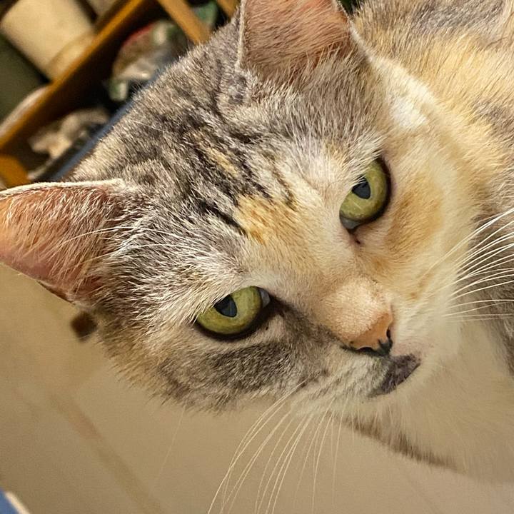 7aab0fe5 1e8d 4e9c 8d38 eba35aebfc8f 1632155569231