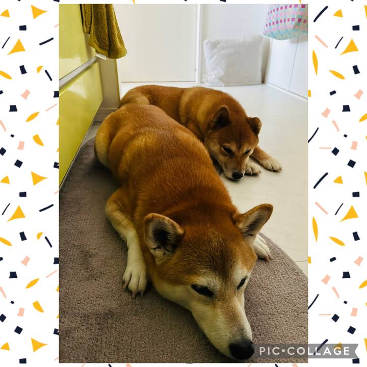 7aab33b8 a92e 42e1 9917 aae9ed05c100 1758666441799