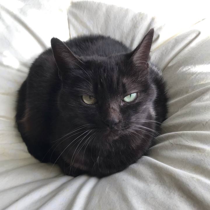 7aab36fa 31f3 4fc5 82f0 73f1b162184c 1546827541467